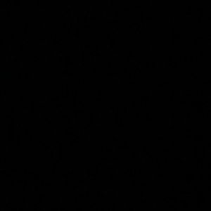 Meet your Posher, Dinka